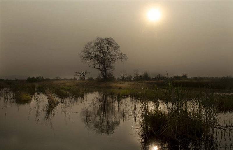 215 - FIN DE JOURNEE - VANDERBEKE LUCIEN - belgium.jpg